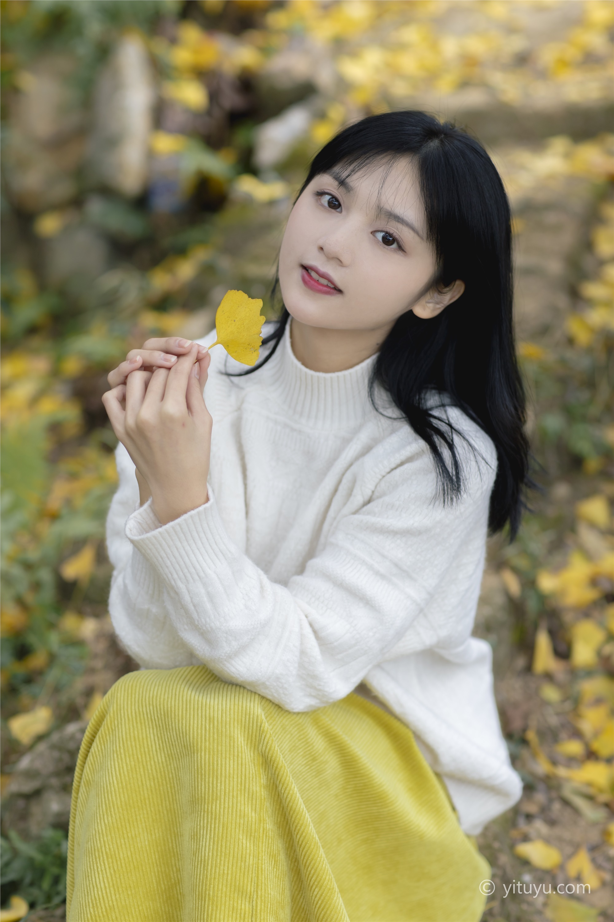 YITUYU艺图语 2021.08.14 银杏之恋 雨文